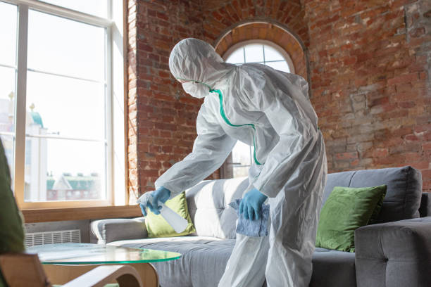 Why You Should Choose Our Mold Remediation Services in Star, NC