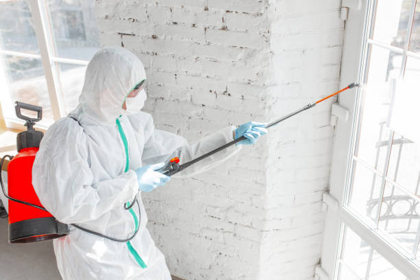 Mold Remediation for Rental Properties in Star, NC